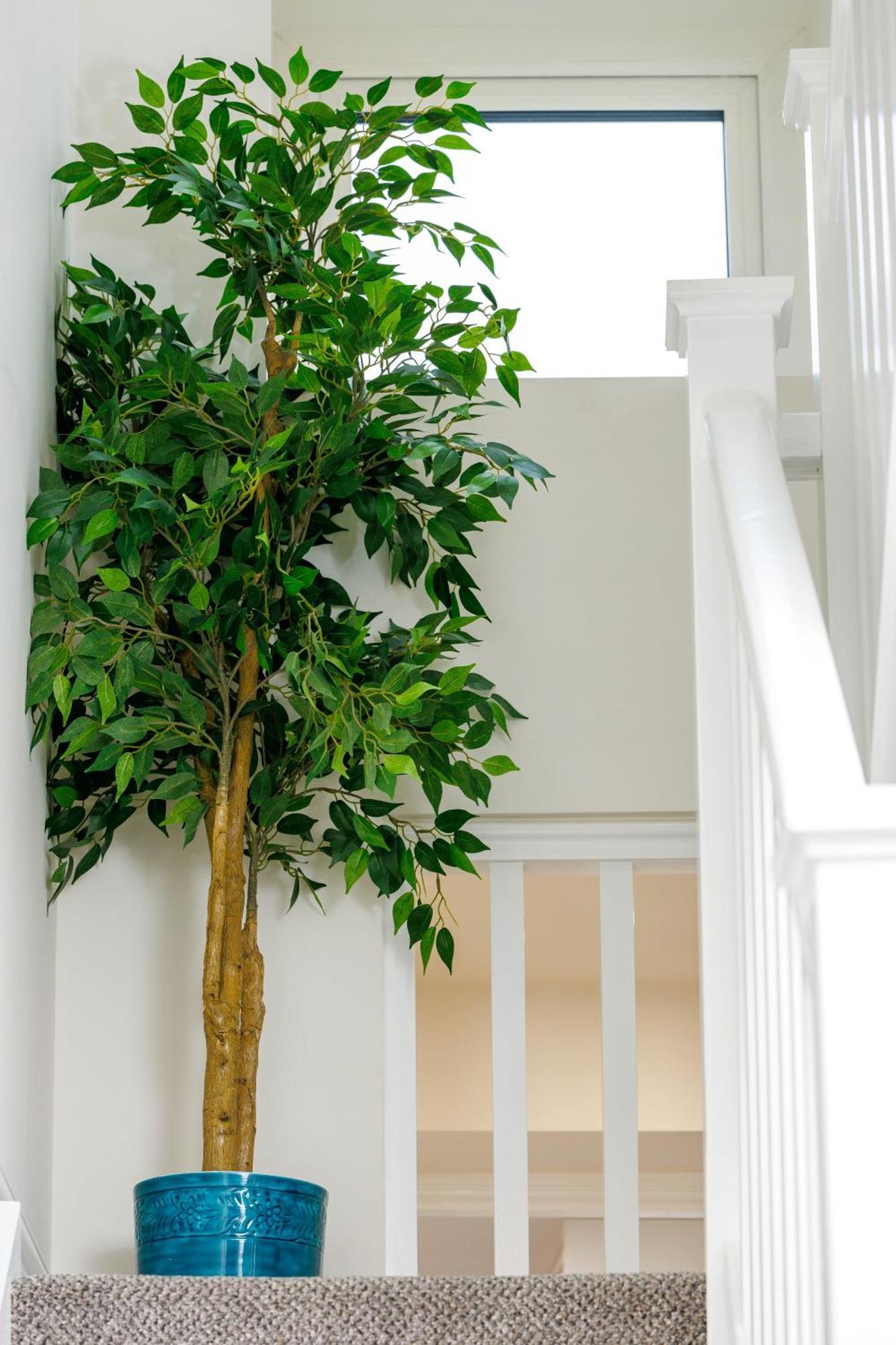 Sandbury Town House Kilkenny Extérieur photo