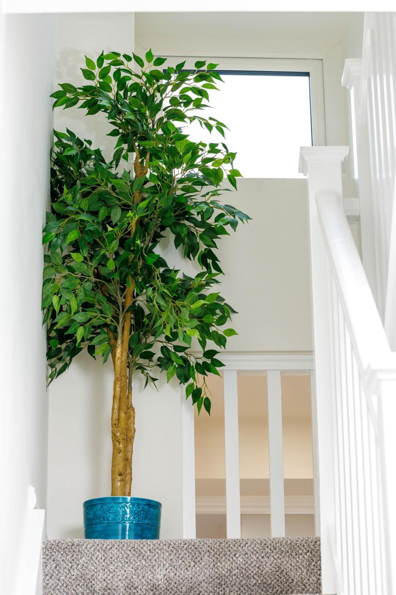 Sandbury Town House Kilkenny Extérieur photo